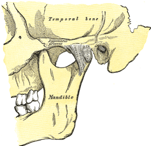 5-Tips-to-Help-TMJ-img_450